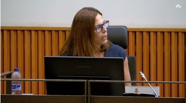 Sin categoría - La vicedegana de l’ICPB intervé en una jornada sobre la Llei d’Eficiència al Congrés dels Diputats